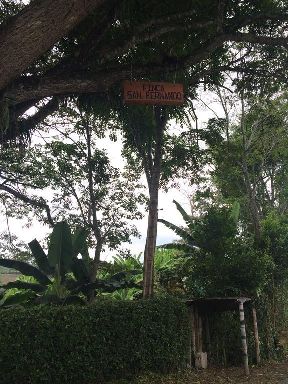 Hotel San Fernando Quimbaya