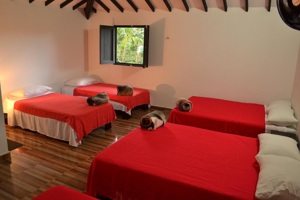San Fernando 4*