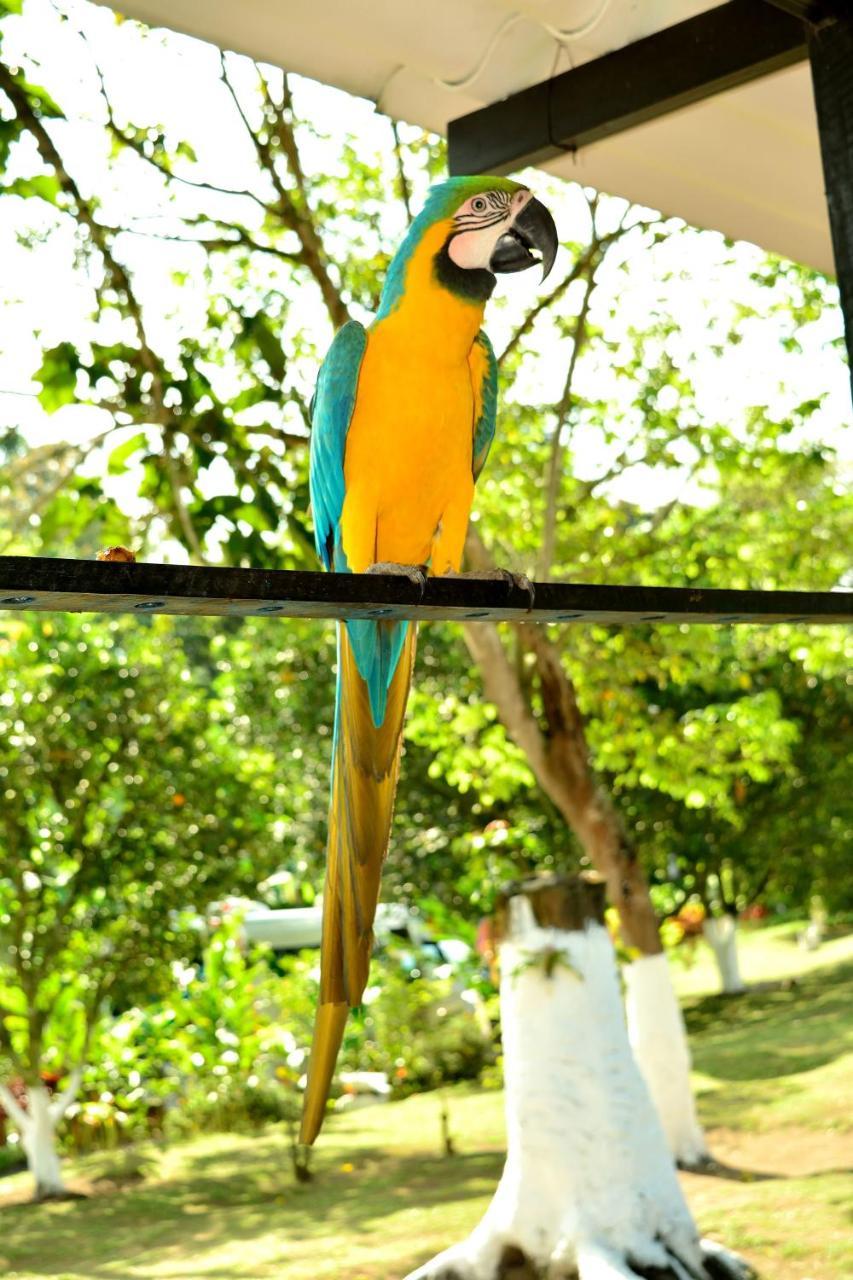 San Fernando 4*